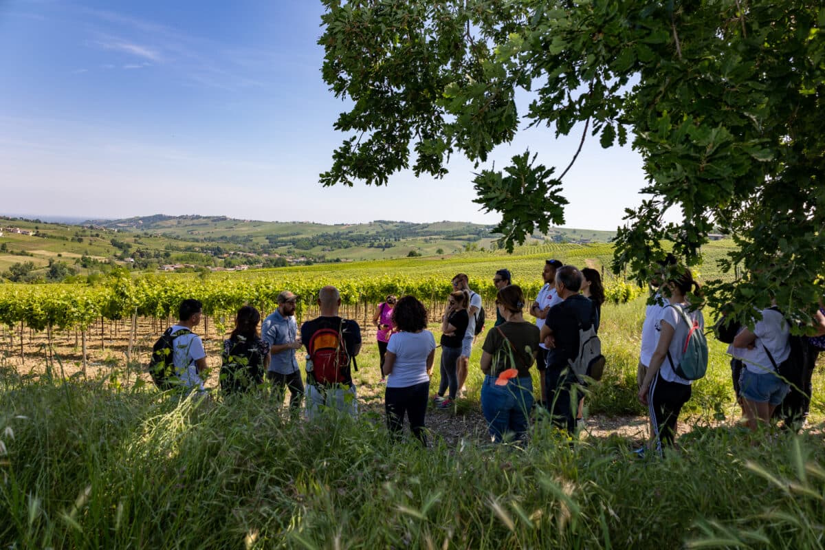 Trekking tra i Vigneti e Brunch con Degustazione di Vini