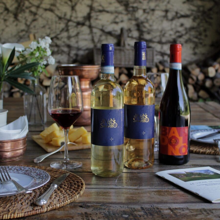 Wine Experience: Visita ai Vigneti e Degustazione Vini