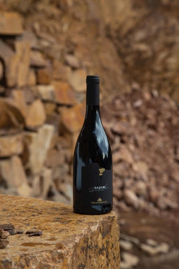 La Viticoltura Eroica - Visita guidata in cantina e degustazione guidata di 4 calici 4